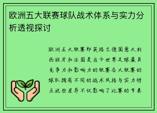 欧洲五大联赛球队战术体系与实力分析透视探讨